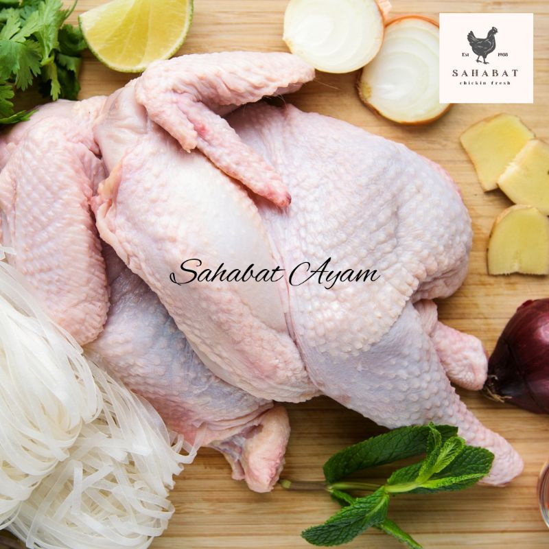 

Daging Ayam Broiler Segar dan Sehat