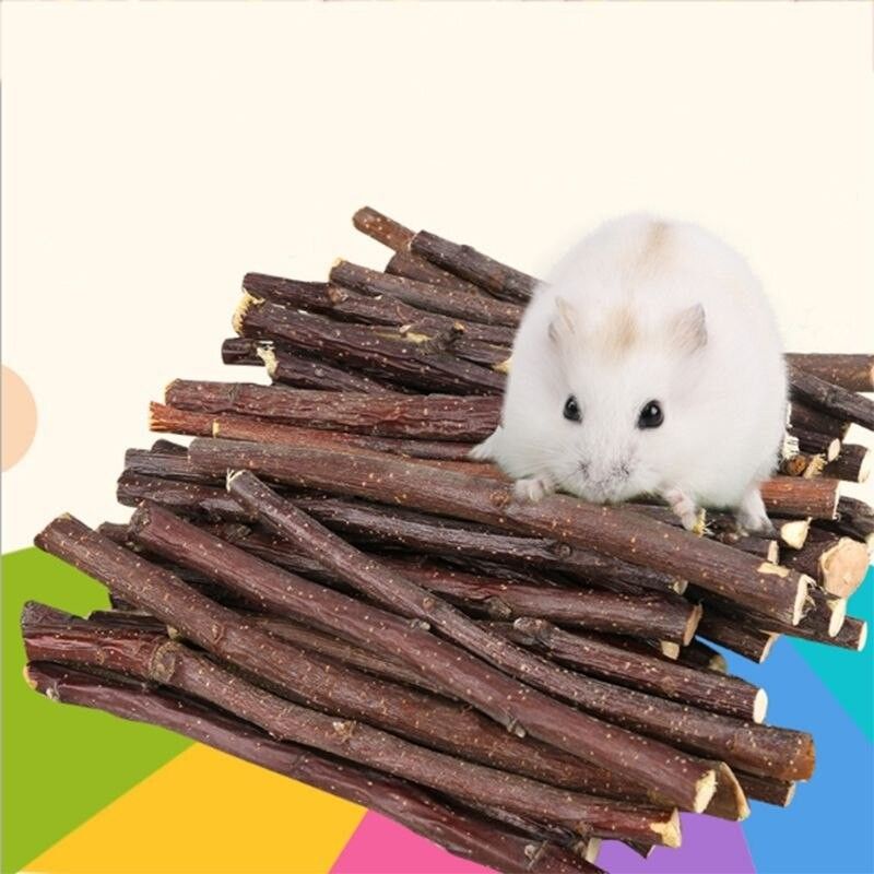 Mainan Hamster Stik Apel size S, Natural Apple Orchard Chew Stick