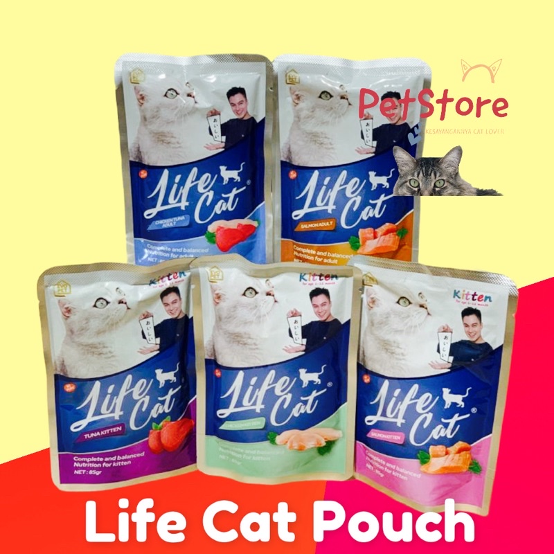 Life cat Pouch Adult &amp; Kitten Creamy BAIM WONG