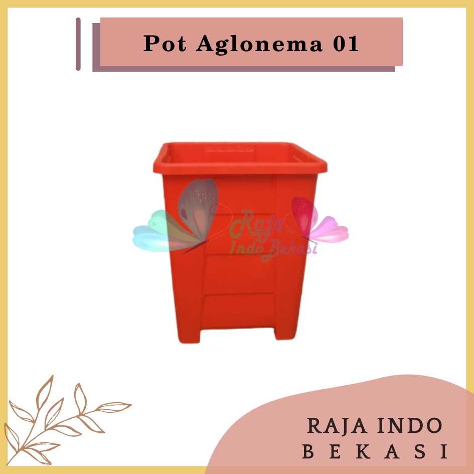 Rajaindobekasi Pot Yogap Kotak 8 10 12 15 Putih Transparan Bening Merah Bata Coklat Terraccota Terakota Orange Pot Segi Empat Hias Pot Yogap 10 13 15 17 18 19 25 30 Pot Yogap Lusinan Pot Kotak Panjang Kecil 8 Cm Tinggi