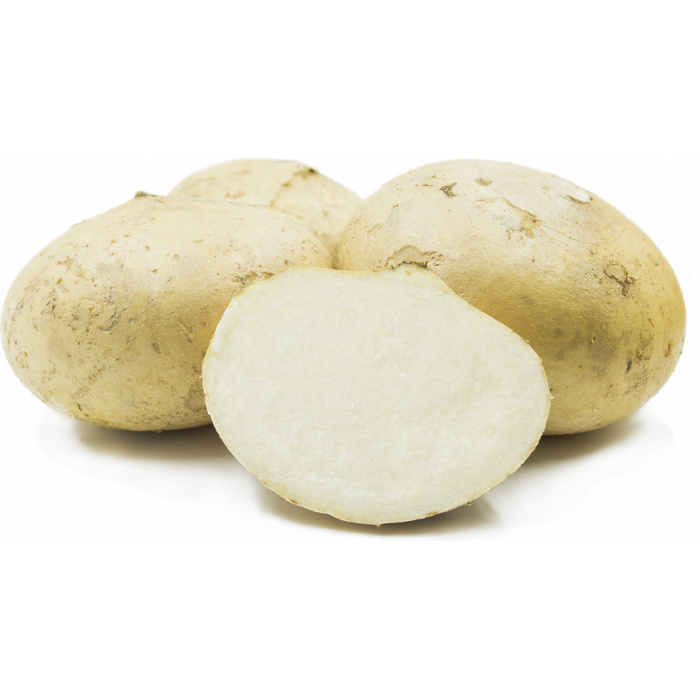 

Bengkoang Segar 1 Kg / Buah Segar / Bengkoang Masker / Buah Rujak