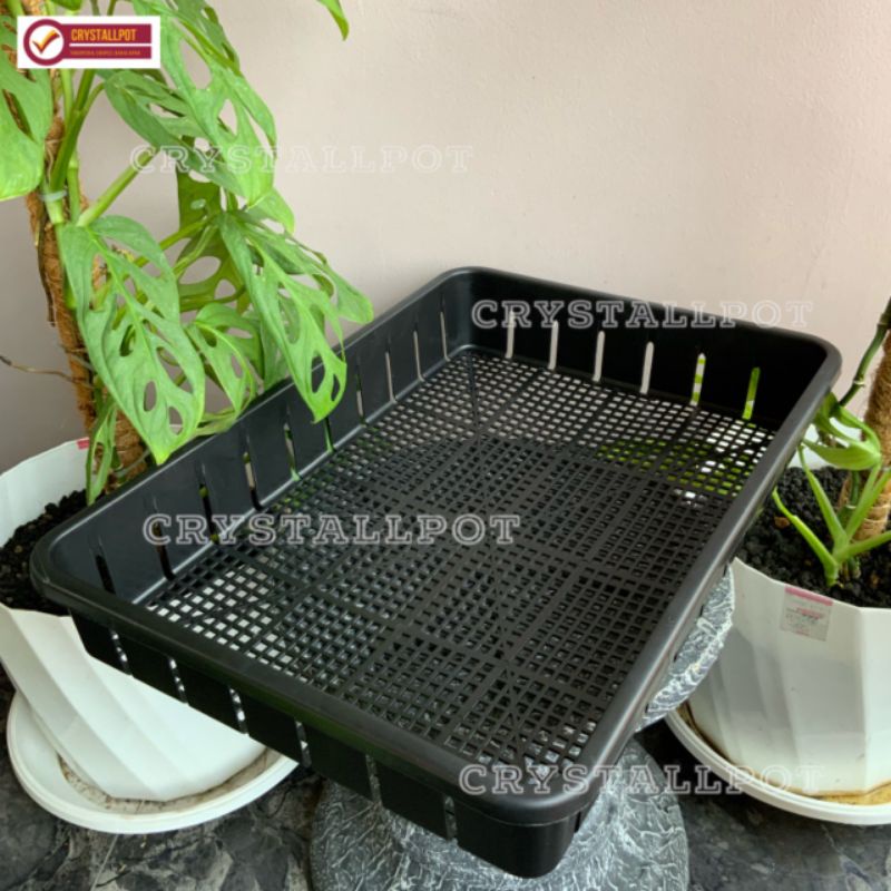 Tray pot untuk semai bibit hidroponik 50cm - TRAY POT NKT 50CM