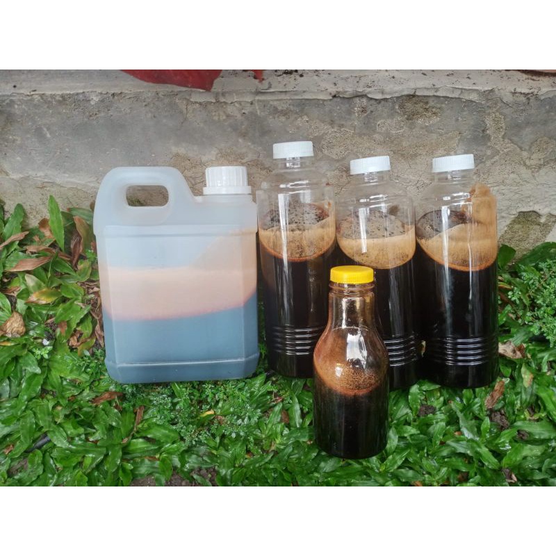 

MADU HITAM MANIS AKASIA JAMBI 1 KG