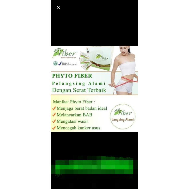 PHYTO FIBER PHHP ORIGINAL  10 bx