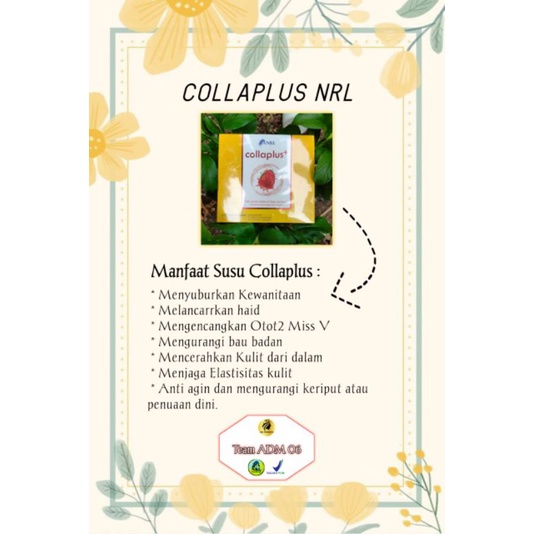 

Collaplus+ Nrl