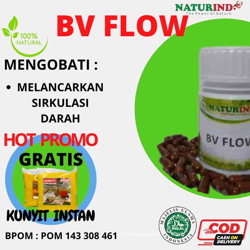 Jual Obat Penyumbatan Pembuluh Darah Herbal Naturindo Shopee Indonesia