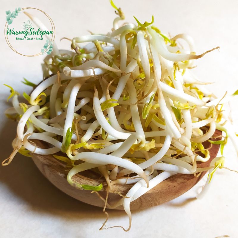 

Tauge Segar 100 gr Sayuran Segar Cikarang Sayur Murah