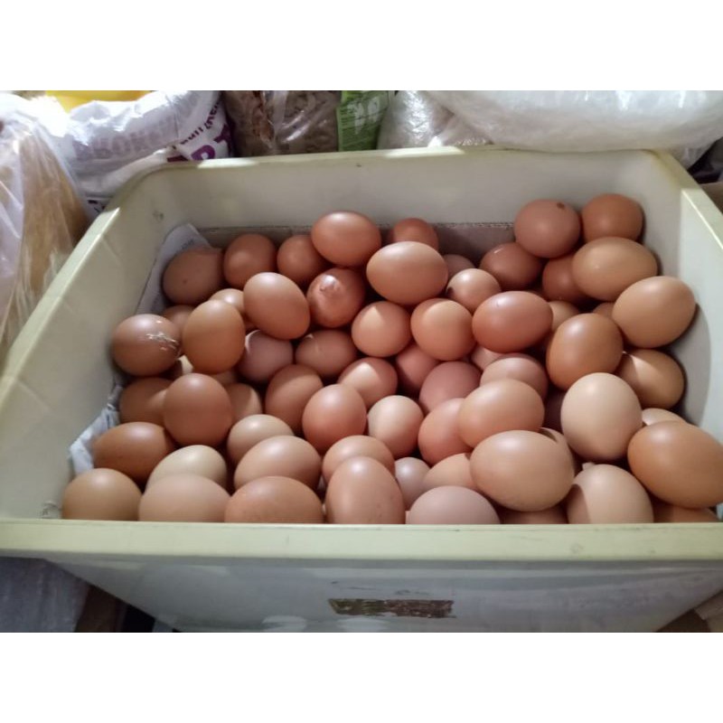 

Telur Ayam Curah 1kg (gosend / grab express only)