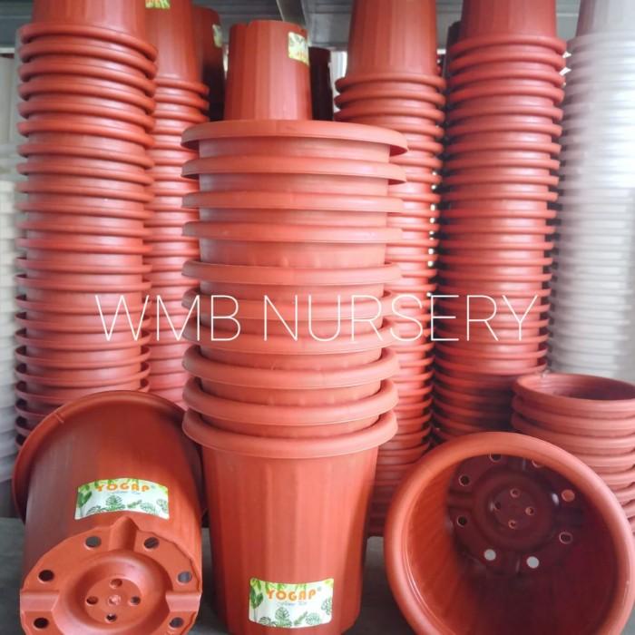 LUSINAN. Pot Yogap YPT 10