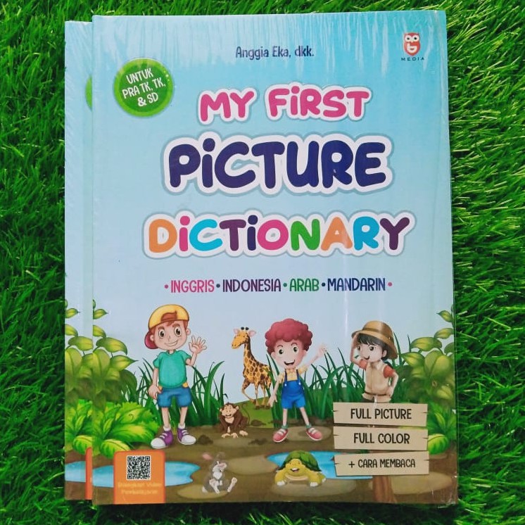 my first picture dictionary - tk&sd