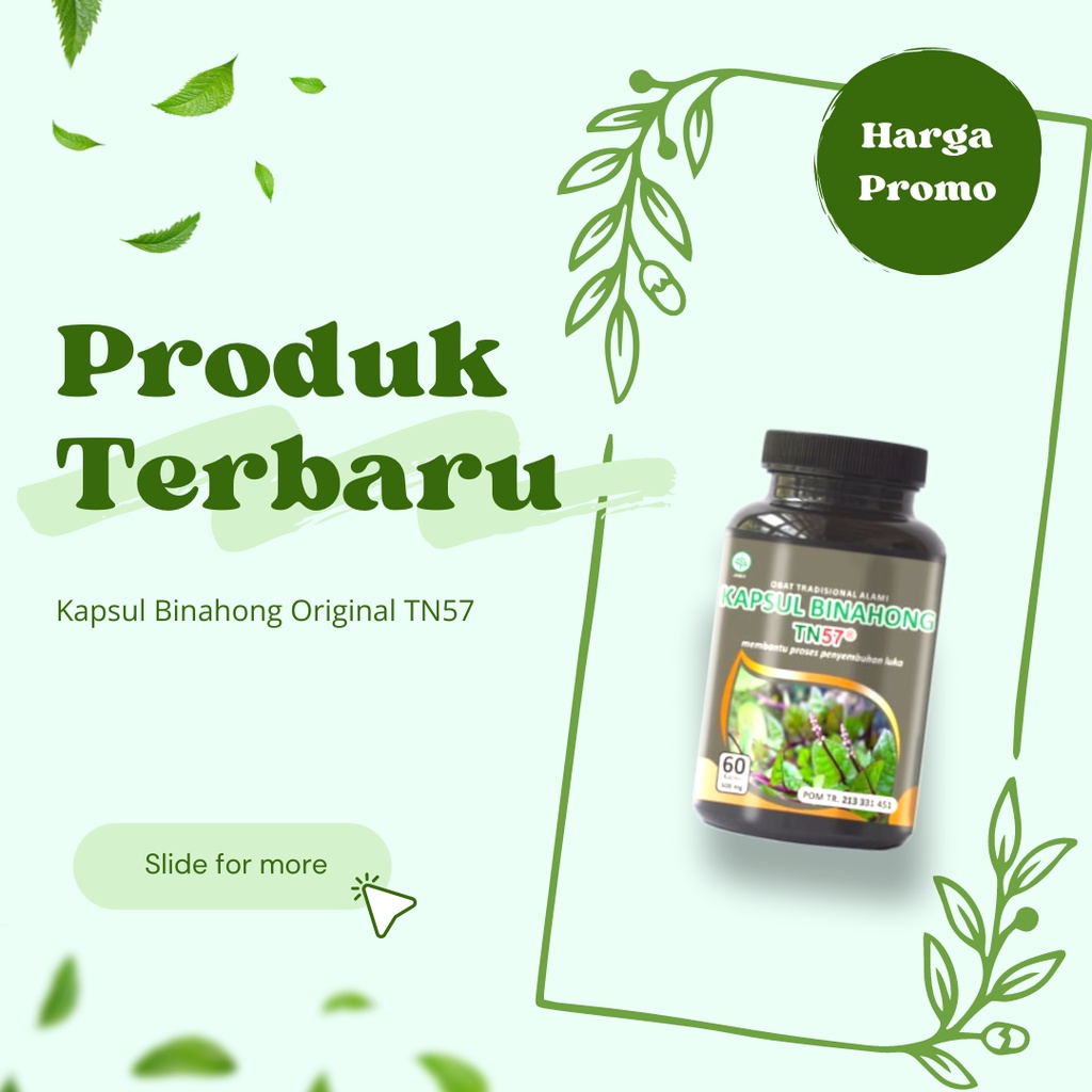 Kapsul Binahong original Toga Nusantara 60 kapsul binahong kapsul