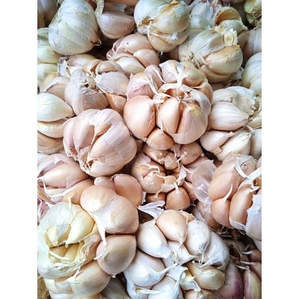 

bawang putih honan 1000gr