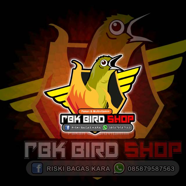 8600 Koleksi Gambar Burung Pleci Kartun Terbaru