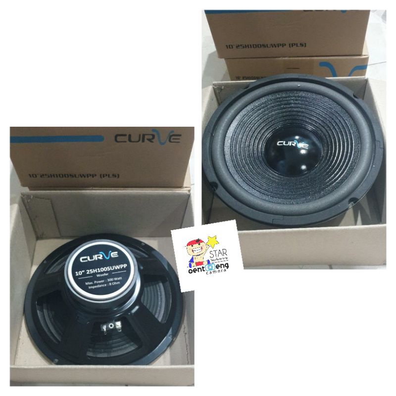 speaker 10inch acr  woofer curve 25h100 suwpp / C 1018 hw  / cannon 25h100 can-non C1018 hw