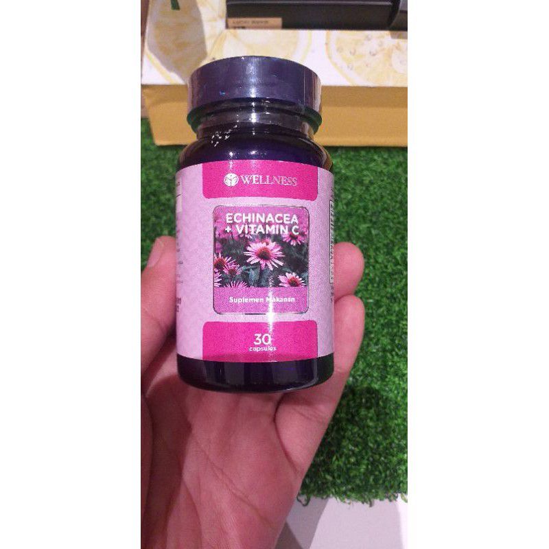 Wellness Echinace + Vitamin C Isi 30