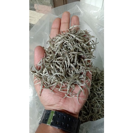 white tea silver needle/teh putih/1 kg