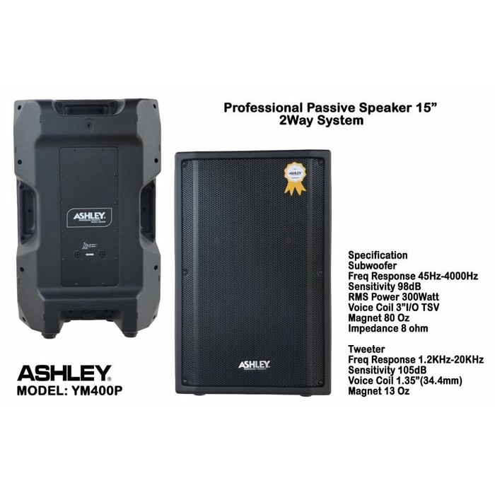 Speaker Ashley YM 400p ( 15 inch ) Pasif/Passive Speaker