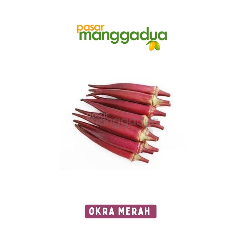 

Okra Merah 500 Gram / Produk Musiman