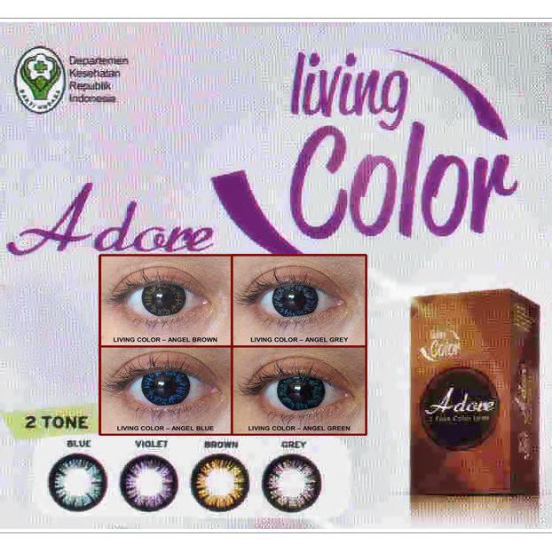 

SOFTLENS LC ADORE BLUE DAN VIOLET 14.4mm