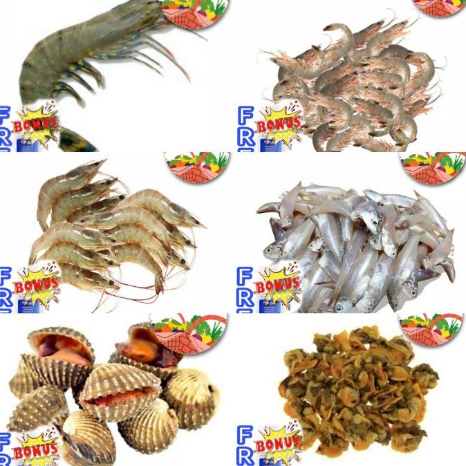 

[COD] PASAR GUBENG - Udang Vename/Teri wader basah/Kerang Darah/Kupas [COD]