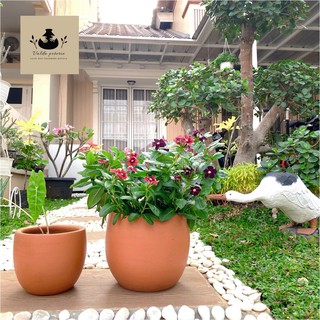 Pot Tanah Liat Keramik Bowie 20cm Shopee Indonesia Pot Tanah Liat Keramik Bowie 20cm Shopee Indonesia