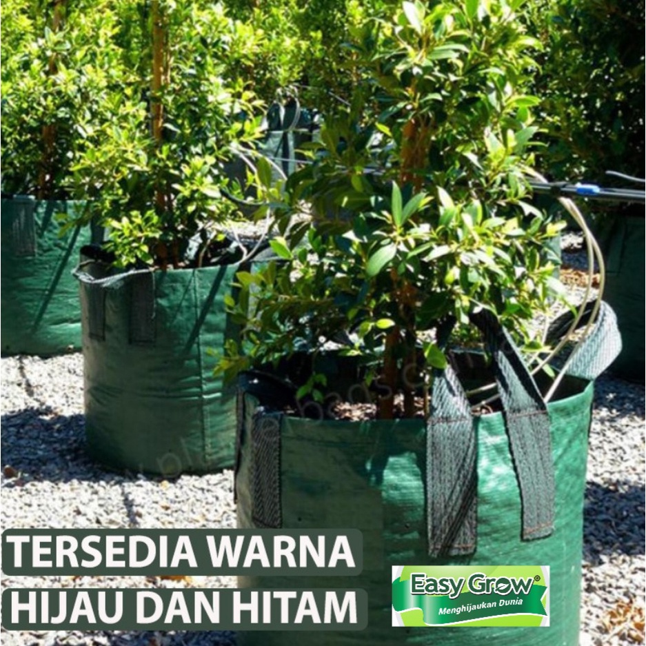 Planter bag 100 Liter EASY GROW planterbag 100liter easygrow kantong Pot polybag semai benih bibit Tanaman bunga sayuran buah planter bag