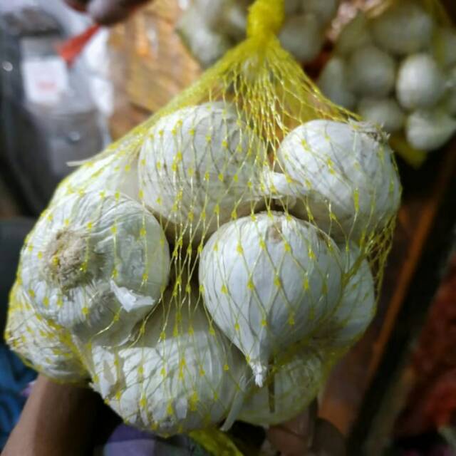 

Bawang putih tunggal
