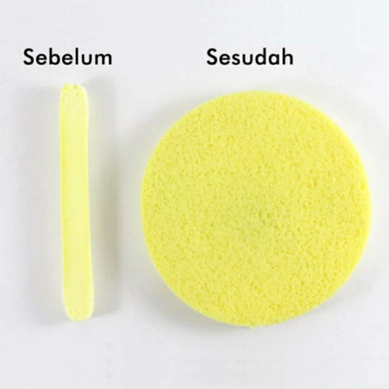 Facial Sponge Stick Batang / Spons Kentang Wajah Stik Spon Pembersih Wajah Pembersih Masker