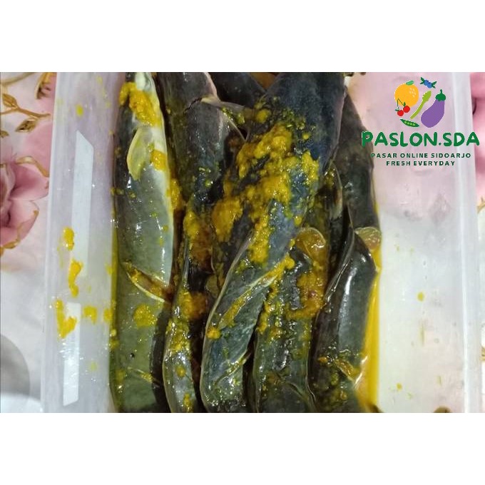 

LELE BUMBU KUNING SIAP GORENG 500GR (4-6 EKOR)