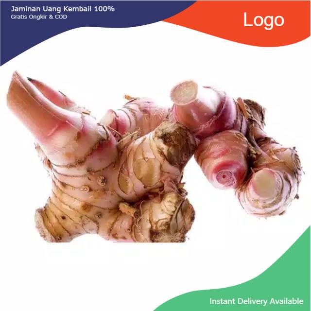 

Lengkuas segar 1kg