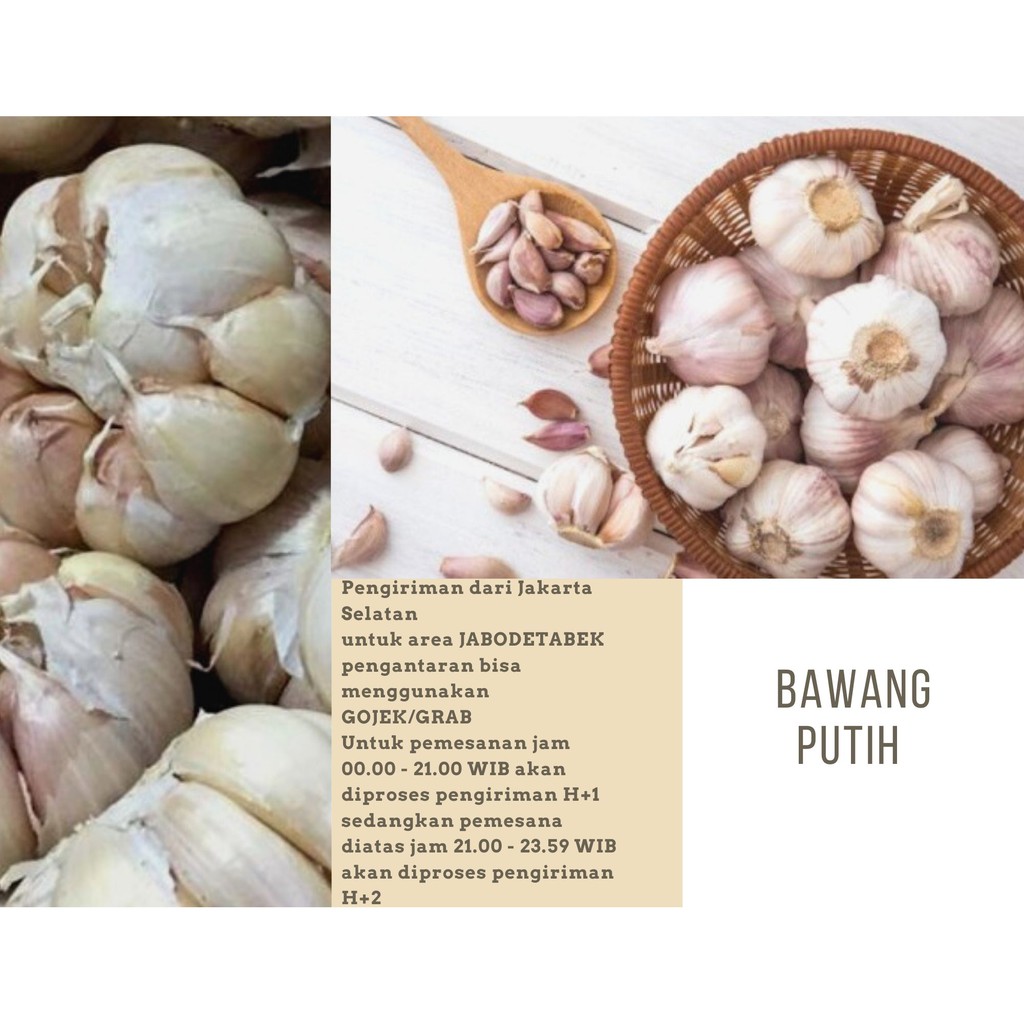 

Bawang putih banci