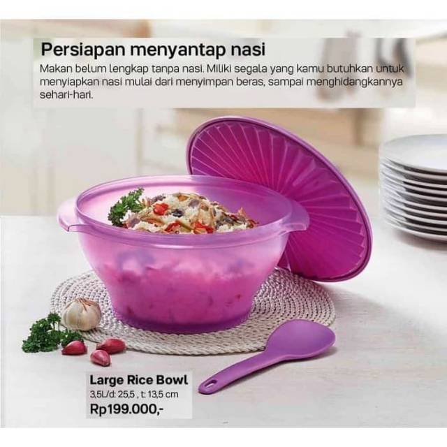 Tupperware rice bowl