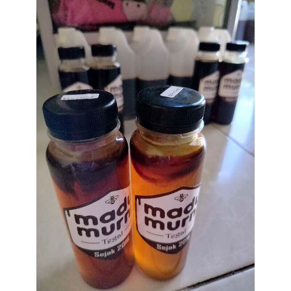 

Madu Klanceng - Lebah Trigona - MADU MURNI TEGAL