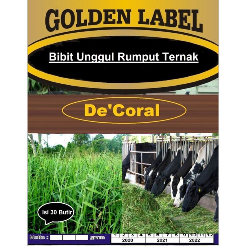Bibit Unggul Rumput Ternak | Benih Rumput Pakan Ternak