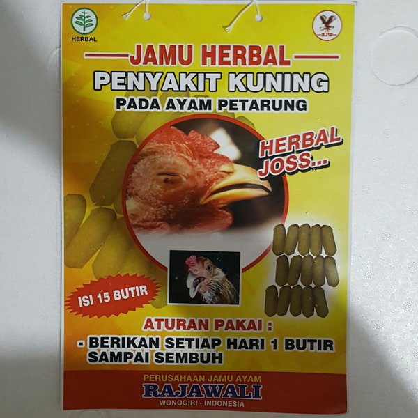 

Penawaranspesial Jamu Herbal penyakit kuning Ayam jago atau petaryng Diskon