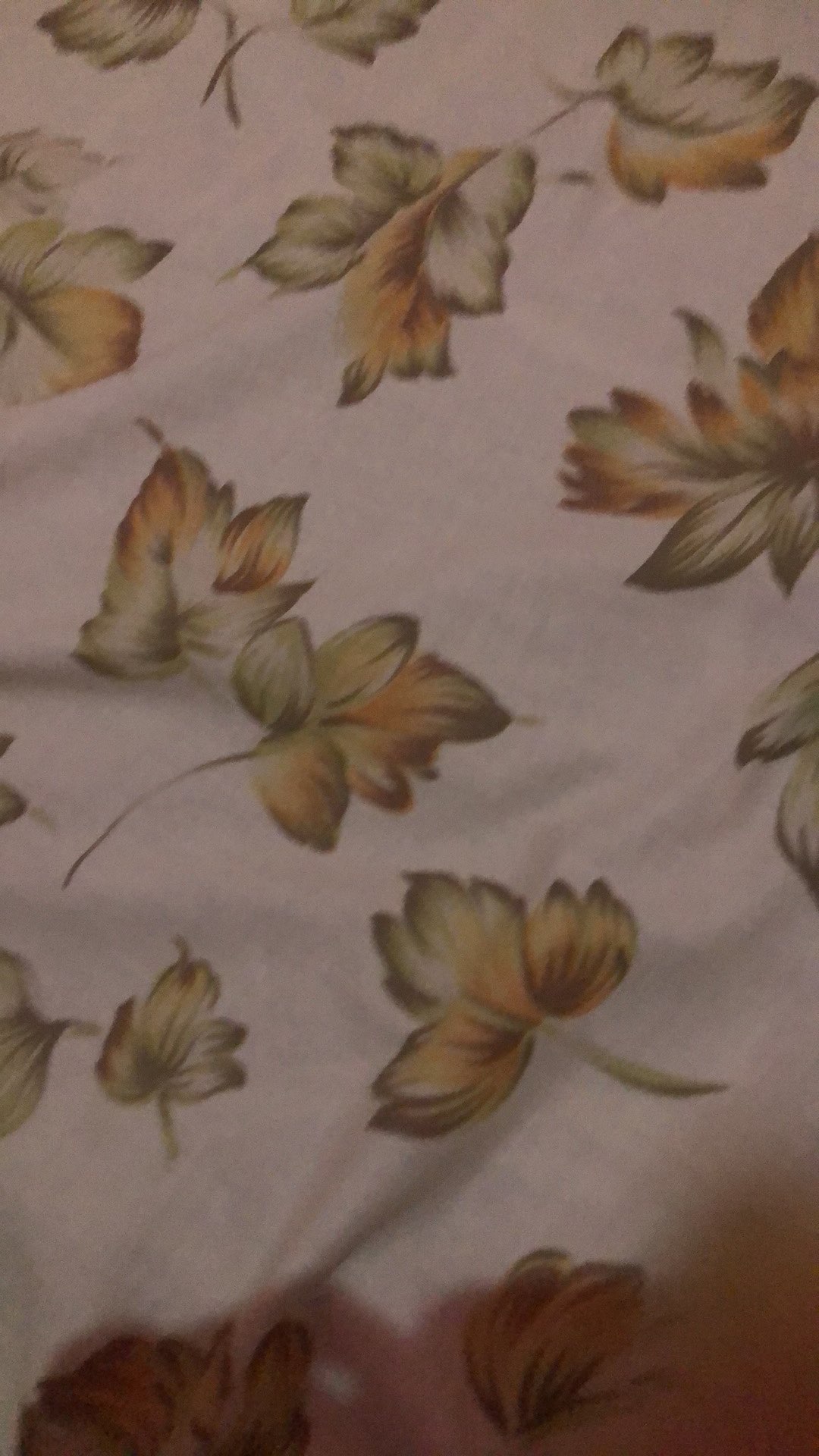 Polybag 25x25 Per Lembar