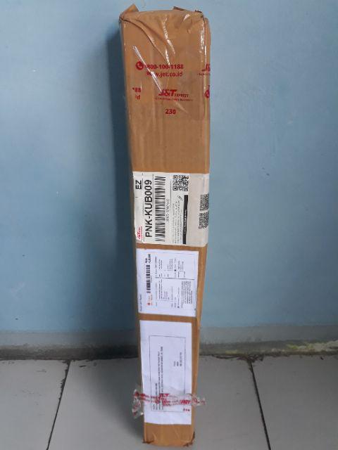 Tanaman Kelengkeng Pingpong (tinggi 40-60 Cm)