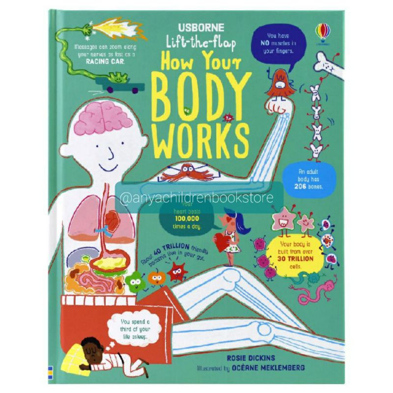Usborne Lift the Flap How Your Body Works