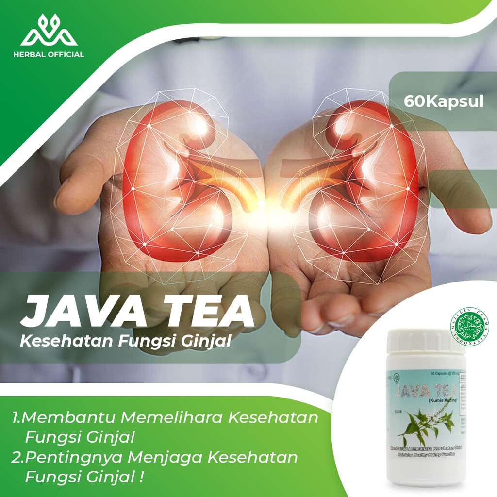 

Java Tea 60 | Obat Ginjal Herbal | Suplemen Makanan Lainnya | Batu Empedu | Suplemen Herbal Ampuh