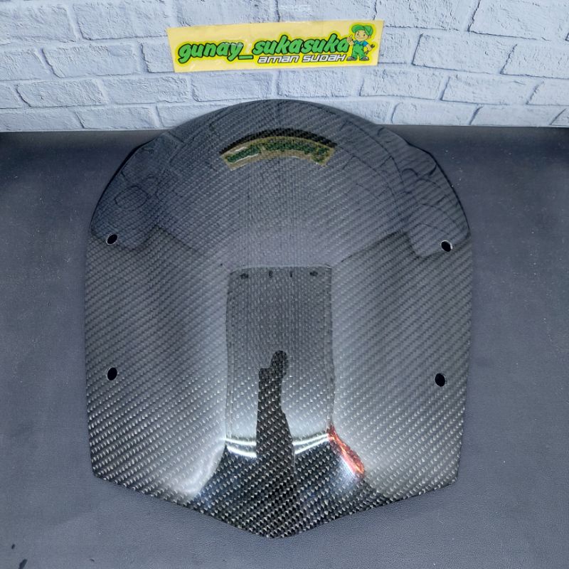 Winshield Carbon Visor Bejita Ninja SSR & Bejita