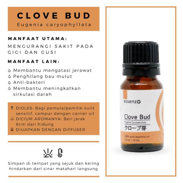 

CLOVE BUD