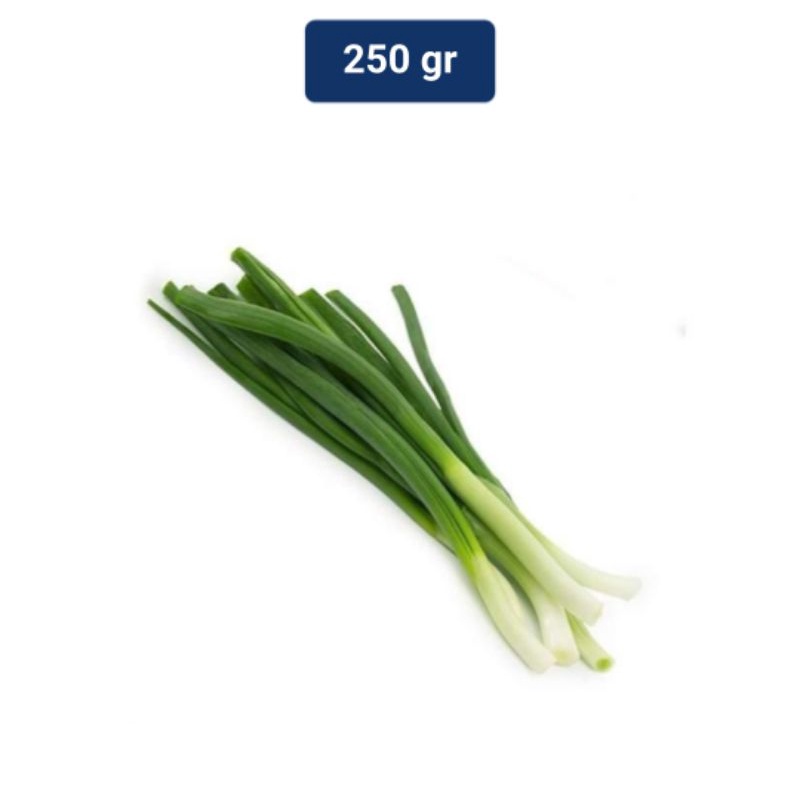 

Daun Bawang Segar/Daun Prei per iket