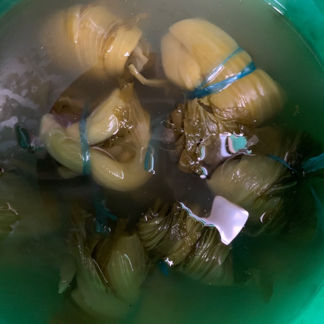 

Sayur Asin 1 ikatt
