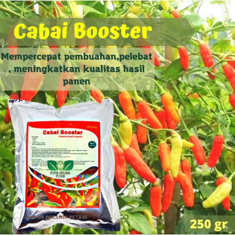 Pupuk Organik Cabe Booster Pelebat Cabai Serbuk Terbaik Agar Cepat Berbuah lebat dan besar perangsang dan penyubur ampuh cocok untuk cabai rawit cabe merah ,hijau dan lainya berat kemasan 250 gr bukan untuk anti virus keriting kuning bulai cabai bule cabe