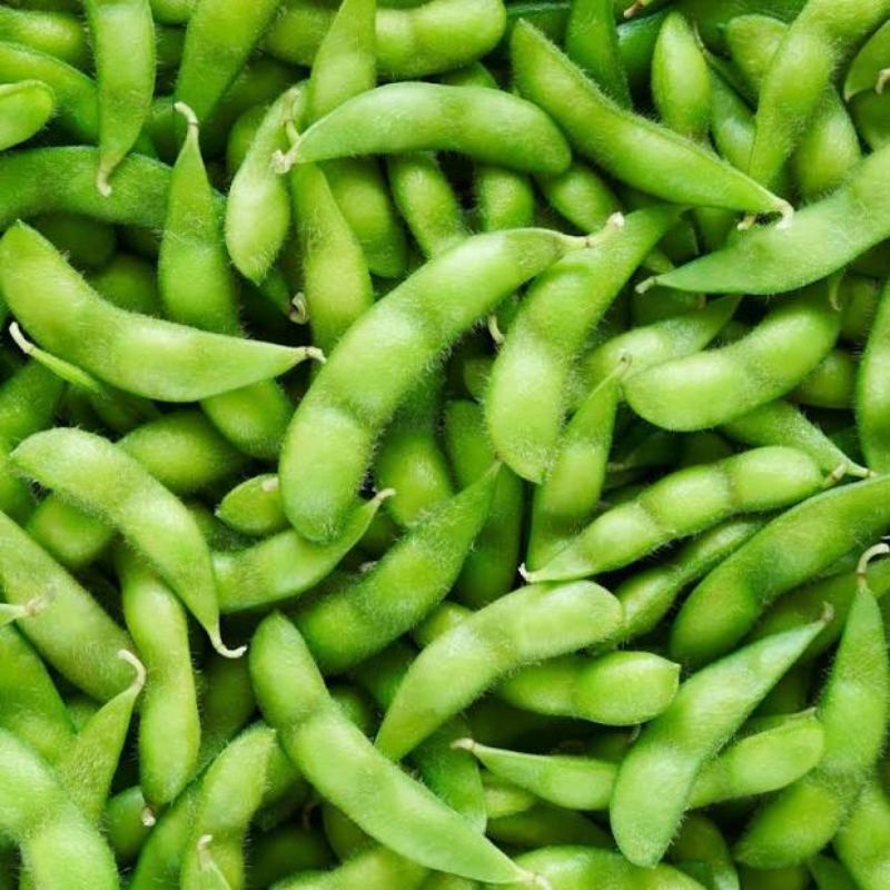 Benih Kacang Edamame Bibit Edamame