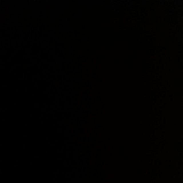 Sendok Kerang Prasmanan