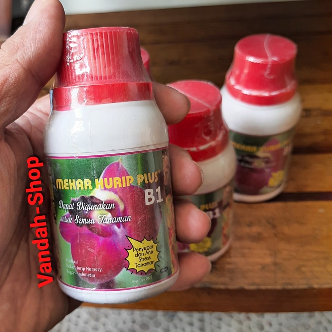 Mekar Hurip Plus B1