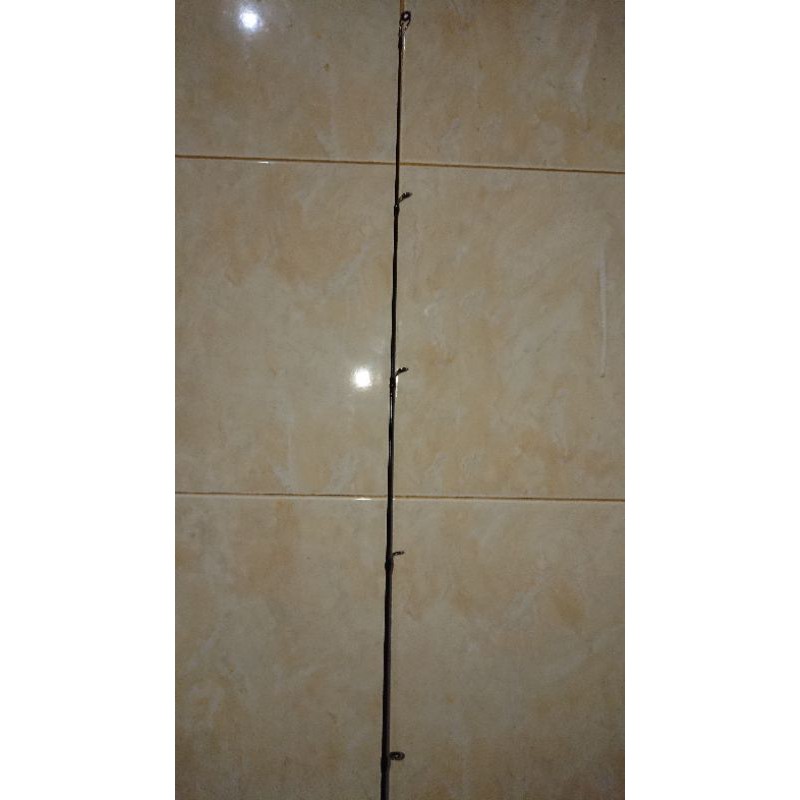 ujung joran / top section