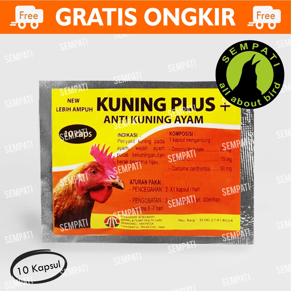 Obat Ayam Kuning Plus 10 Kapsul Obat Ayam Sakit Kuning Anemia Lemas Pucat Ngesup Antibiotik Kuning+ Anti Kuning Ayam Berak Hijau Obat Vitamin Ayam Recovery Laga Tamasindo