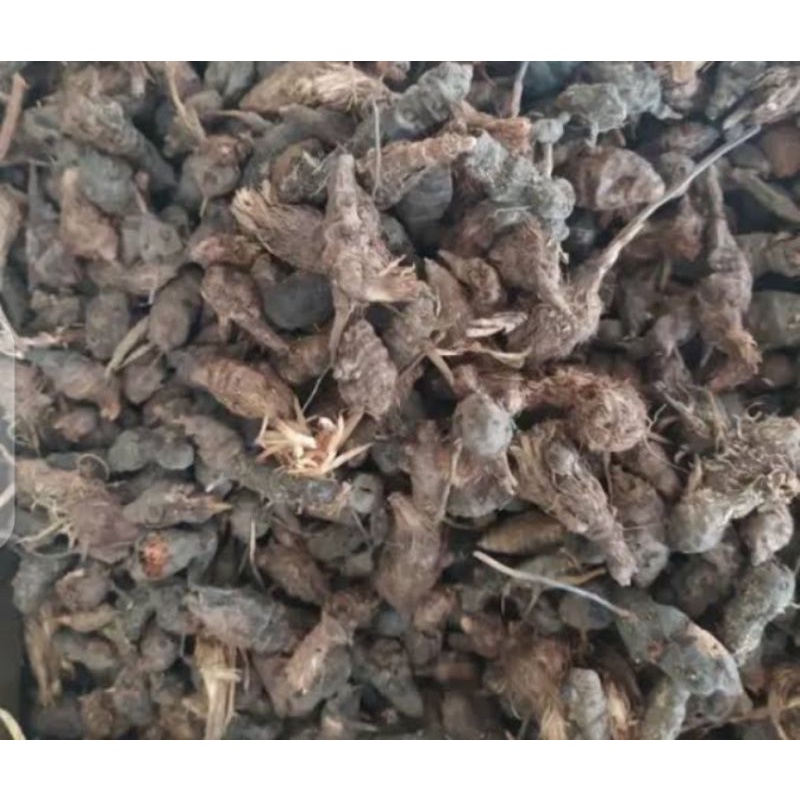 

Rumput Teki Kering 1kg